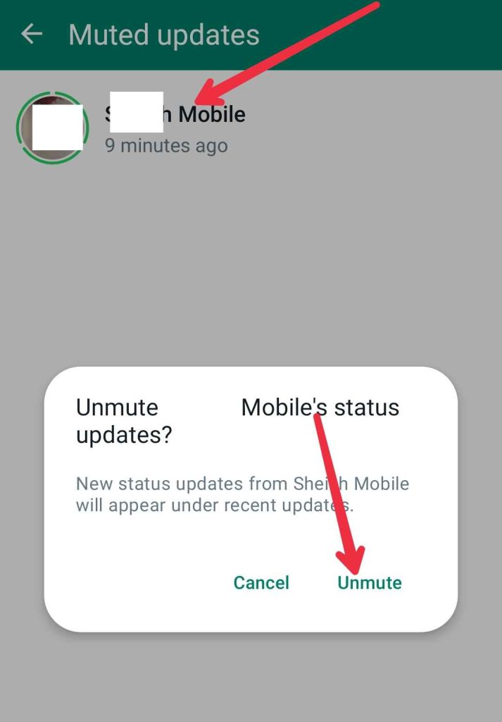Screenshots instructions To Unmute WhatsApp Status.