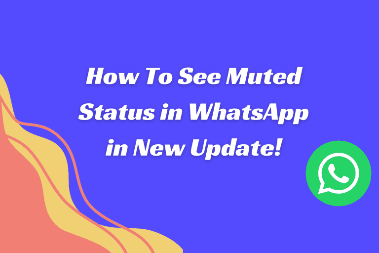 How To See Muted Status in WhatsApp in New Update