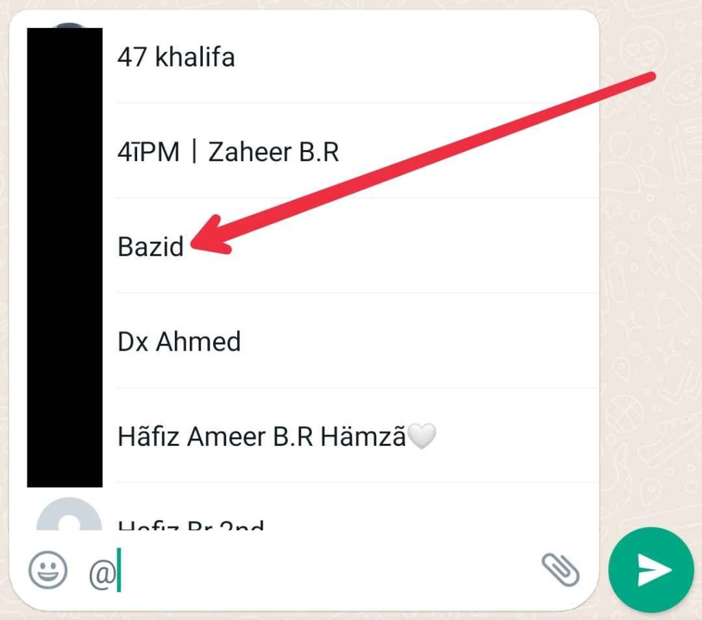 Selecting specific whatsApp group members from the list to mention in your message.